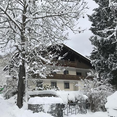 Amadee Appartements Bad Kleinkirchheim Exterior photo